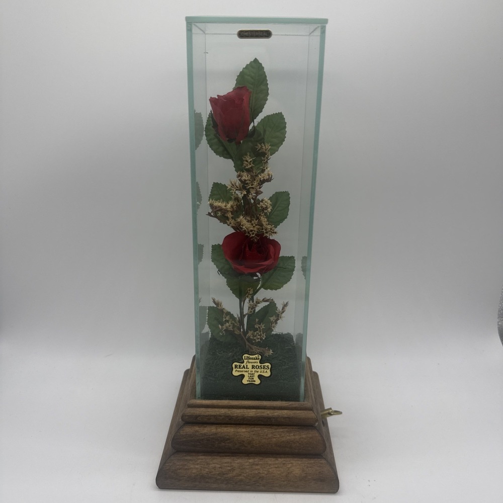 Chesterseal Lifesake Real Preserved Red Roses Glass Wood Music Box Works Statue